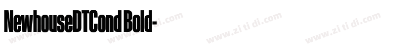 NewhouseDTCond Bold字体转换